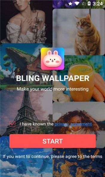 Bling Wallpaper