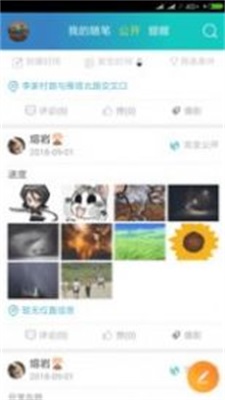 貓仔秘記
