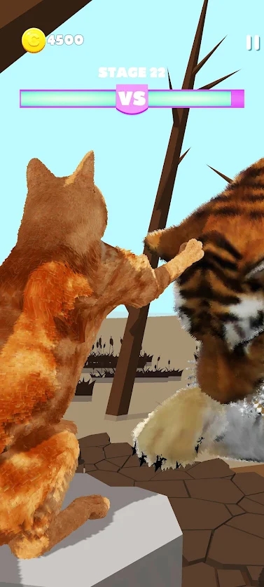 CatvsCat