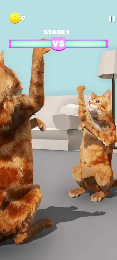 CatvsCat