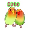 可可鹦鹉CUTE