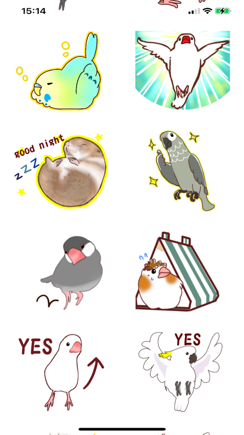 可可鹦鹉CUTE