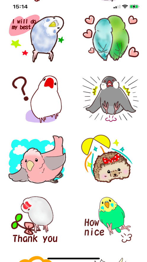 可可鹦鹉CUTE
