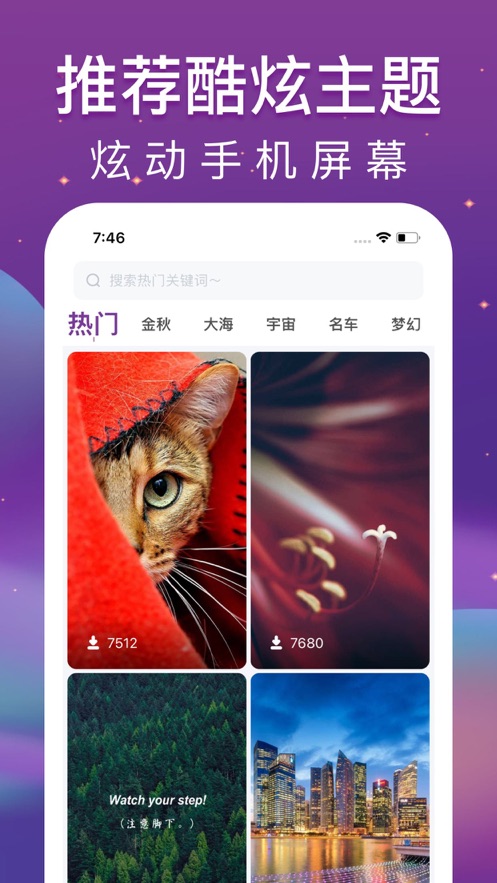 墙纸