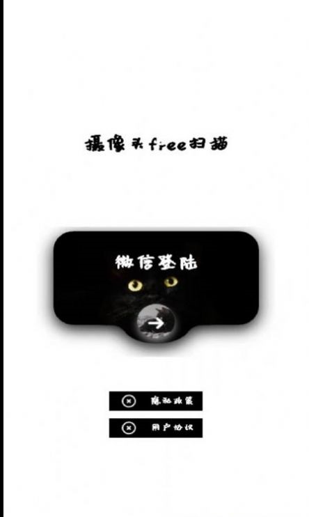 网络摄像头检测器