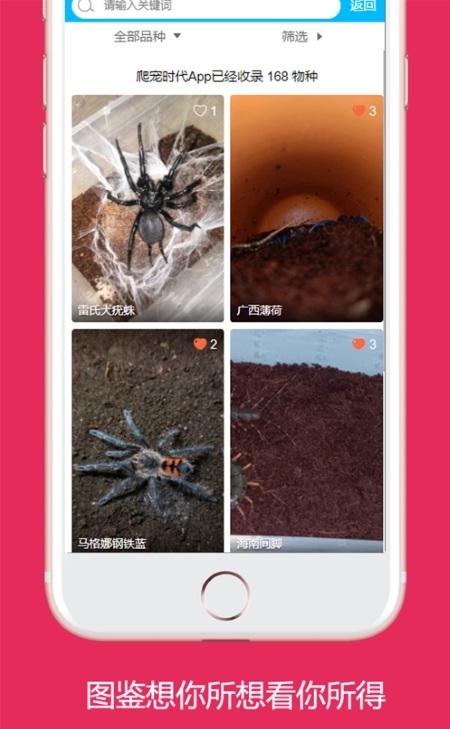 爬宠时代