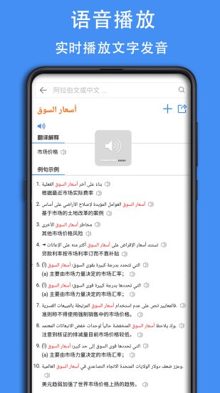 阿拉伯语词典