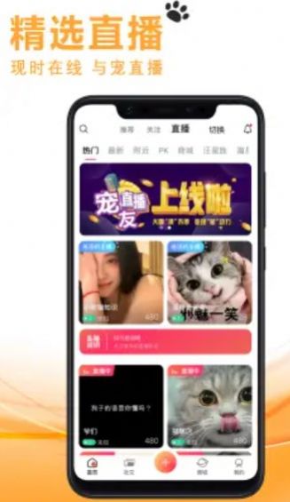 宠友社交