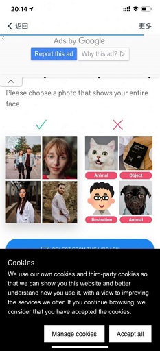 AI Gahaku线条图