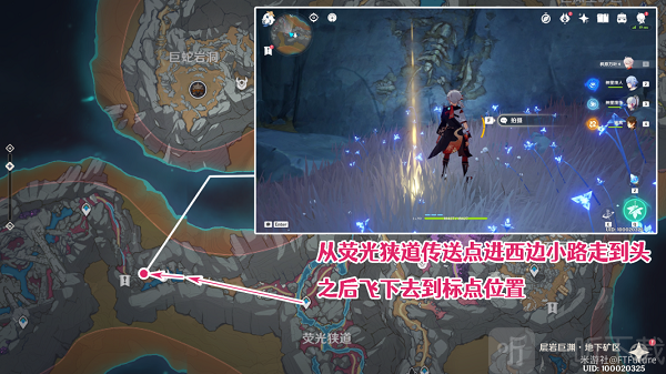 原神古代生物调查任务怎么完成 奇怪的岩石化石照片位置分享