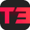 T3
