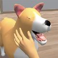 冒险骆驼