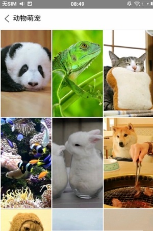 旋風壁紙