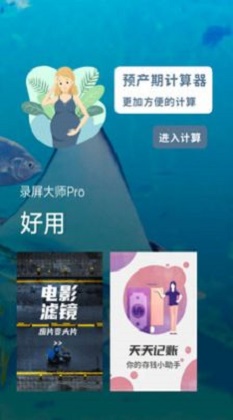录屏大师Pro