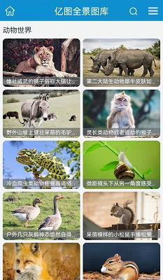 亿图壁纸