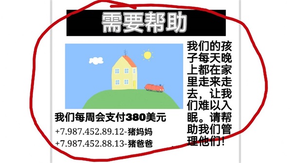 野猪佩奇的午夜后宫