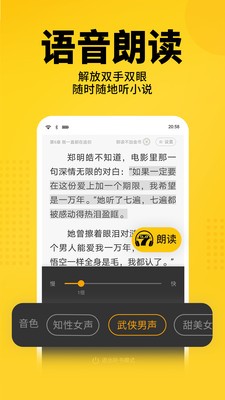 猫耳酱小说2022