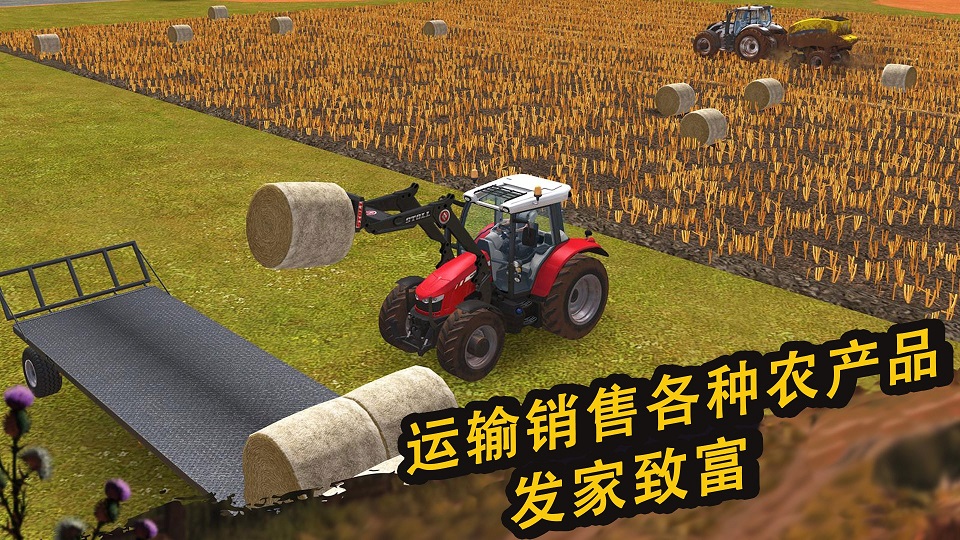 農場精英
