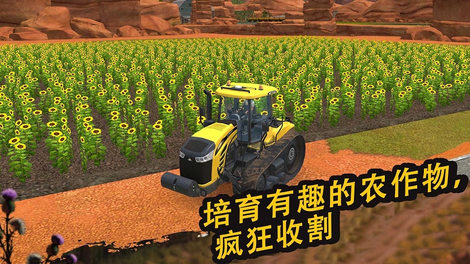 農場精英