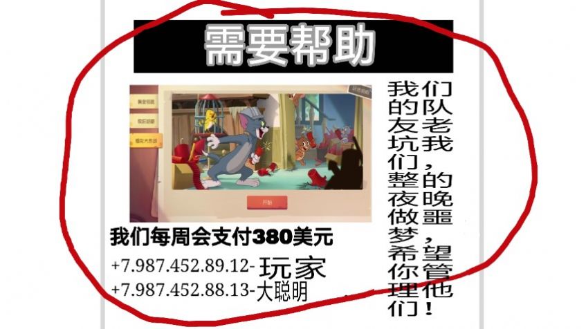 猫和老鼠的午夜后宫