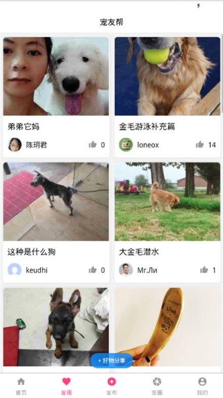 宠友帮