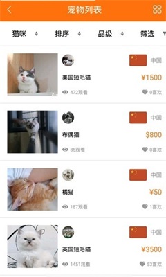 宠小七