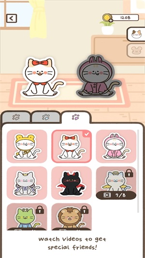 与猫共舞