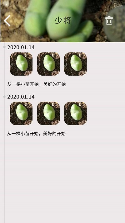 花草多肉日记