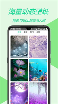 黄油壁纸大全