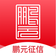 鹏元征信