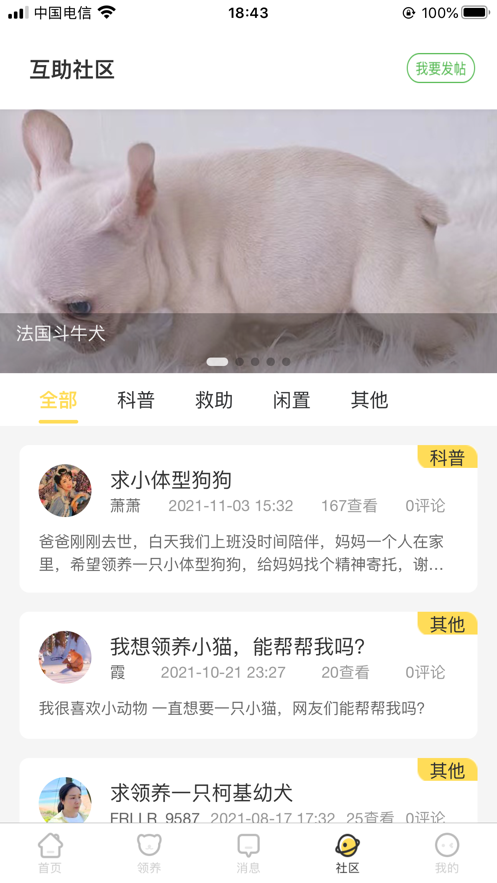 找宠物