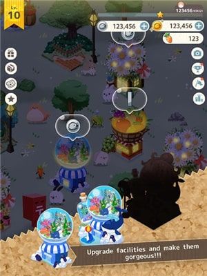 兔子真是太可愛了