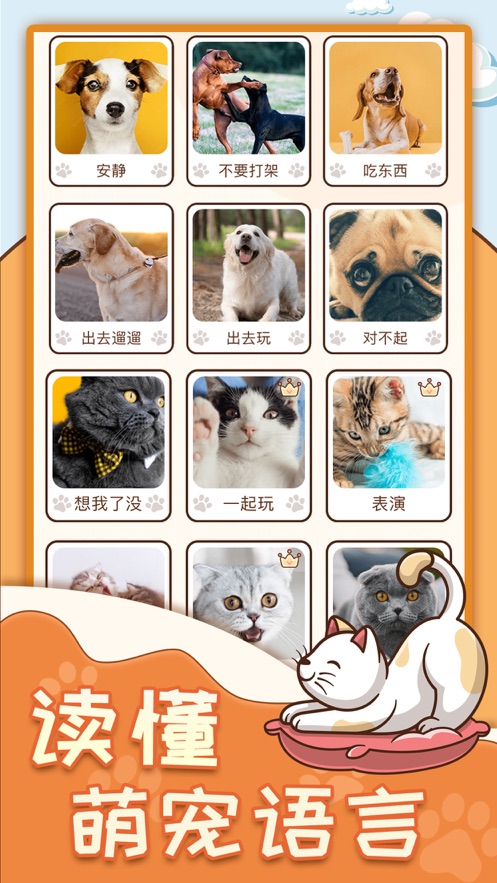 动物翻译器