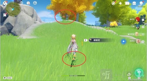 原神轻飘飘的花与芙萝拉任务攻略大全分享