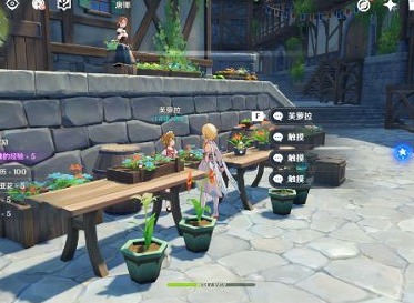 原神轻飘飘的花与芙萝拉任务攻略大全分享