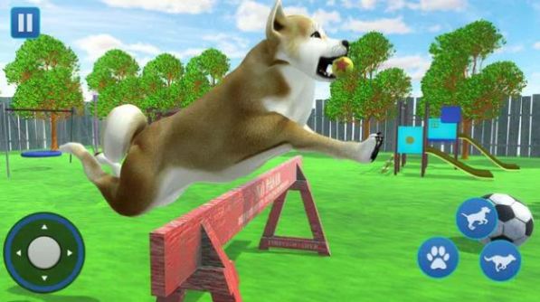 狗生活模拟器3D