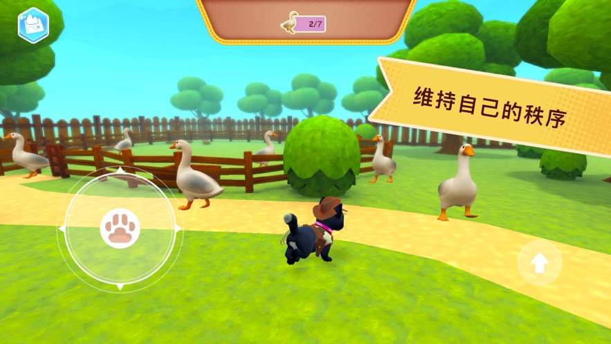 可爱的猫大冒险