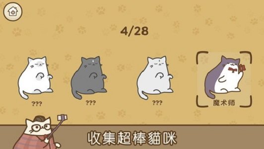 音乐猫咪