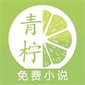 青柠免费阅读小说