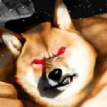 走不完的迷宮