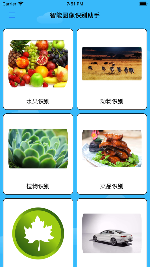 智能图像识别助手