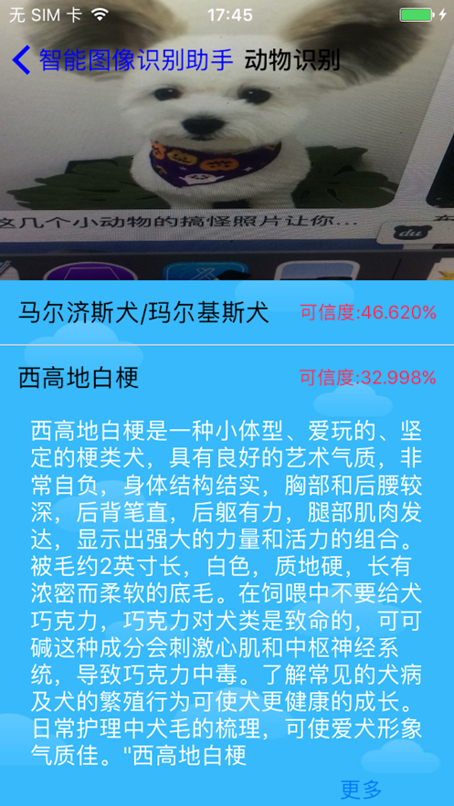 智能图像识别助手