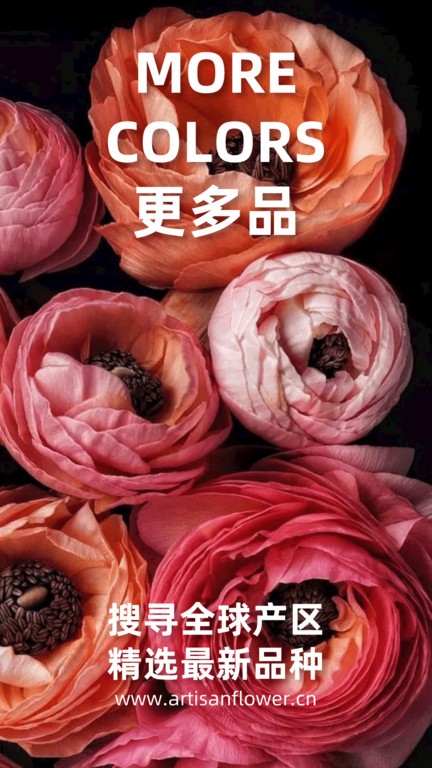 匠人花材