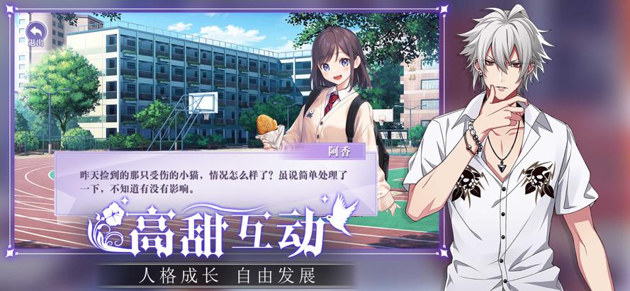 我的纸片人