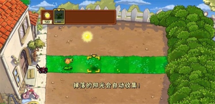 坤坤大戰僵尸
