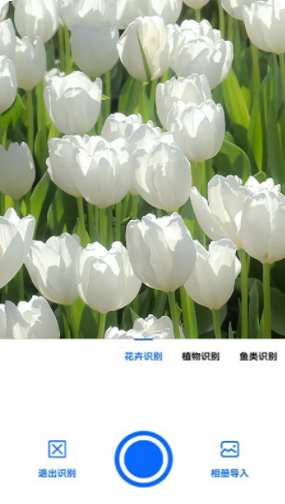 全能拍照识图
