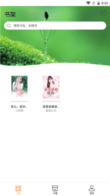 鲁晟小说