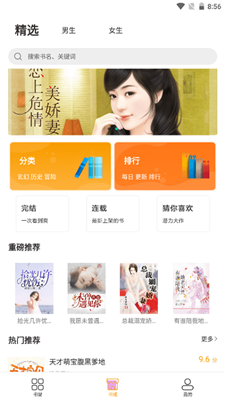 鲁晟小说