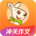 口袋鼠
