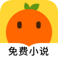 桔子小说阅读器
